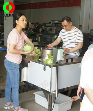 蔬果分瓣機(jī)現(xiàn)場(chǎng)測(cè)試,，客戶滿意切割效果,！