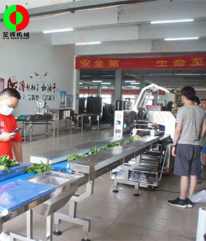 枕式蔬果包裝生產(chǎn)線,客戶現(xiàn)場(chǎng)測(cè)試驗(yàn)收,！